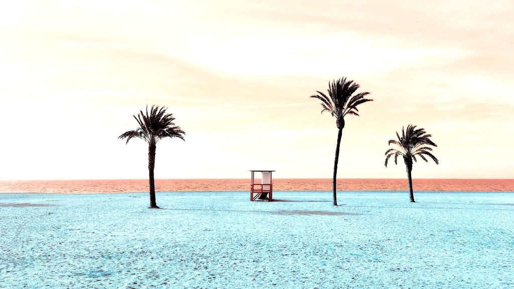 Digital nomad working on beach